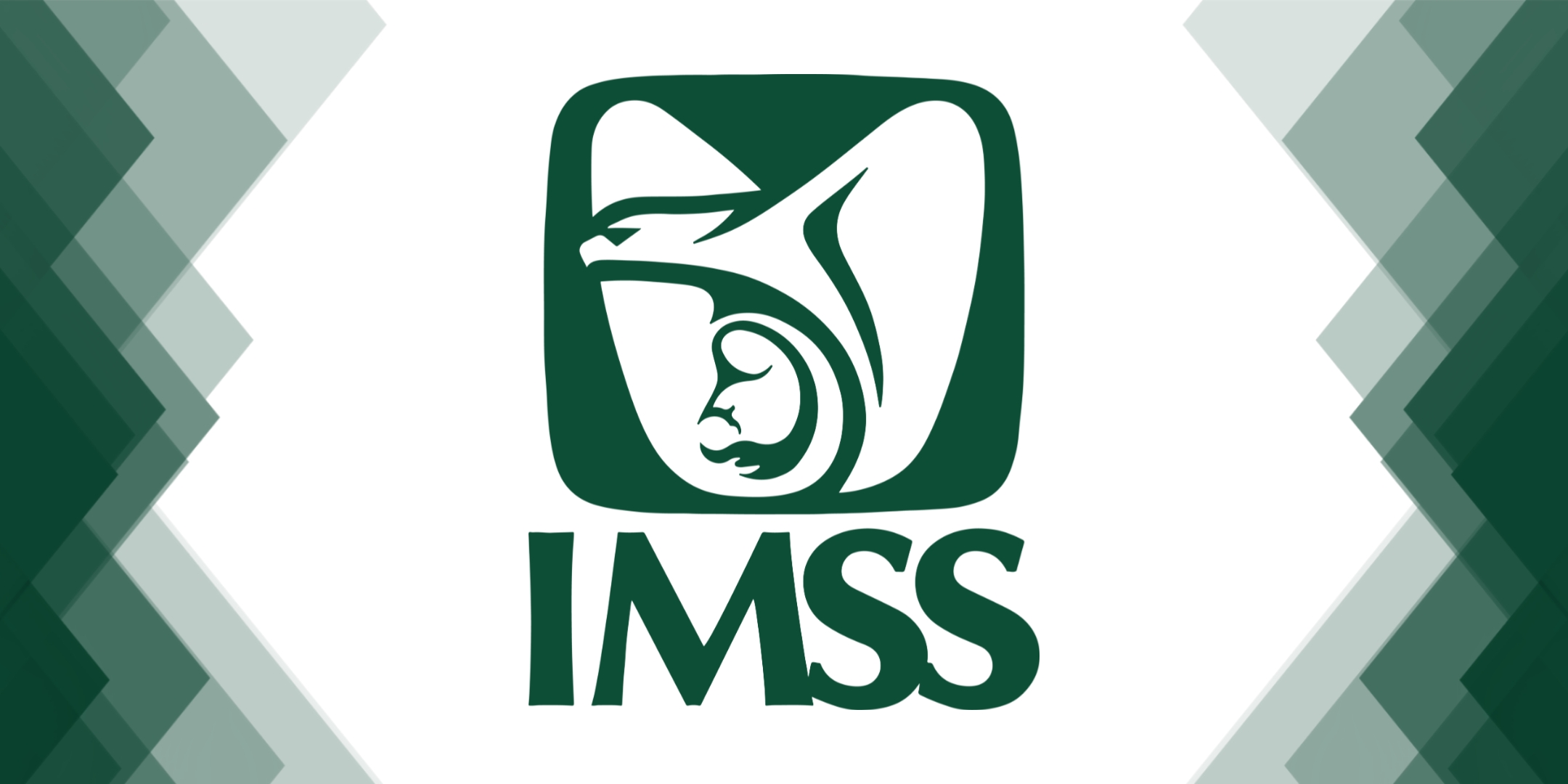 13 - IMSS